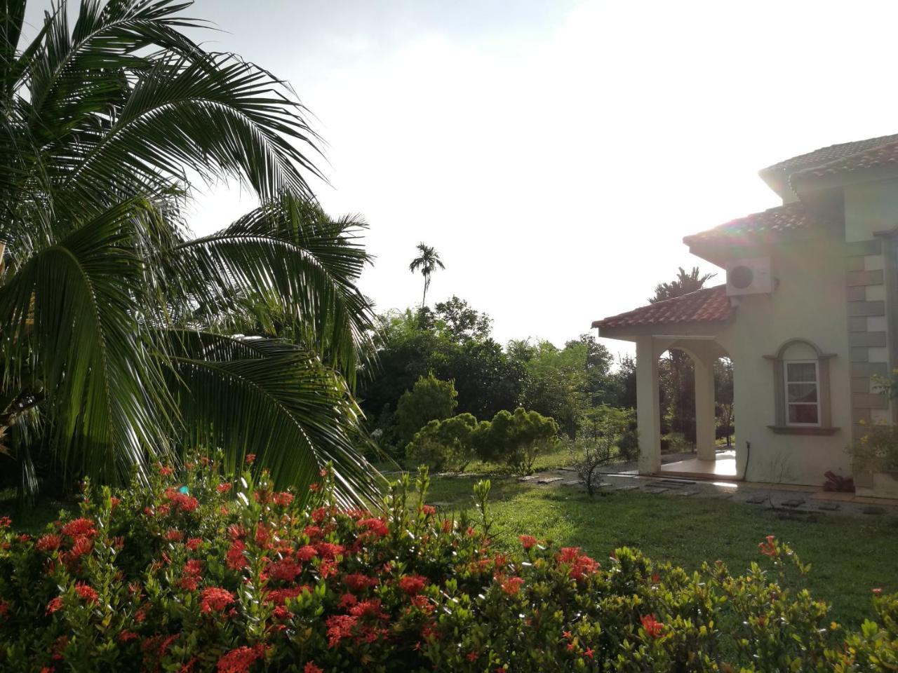 Guesthouse Dragon Place ไทปิง ภายนอก รูปภาพ
