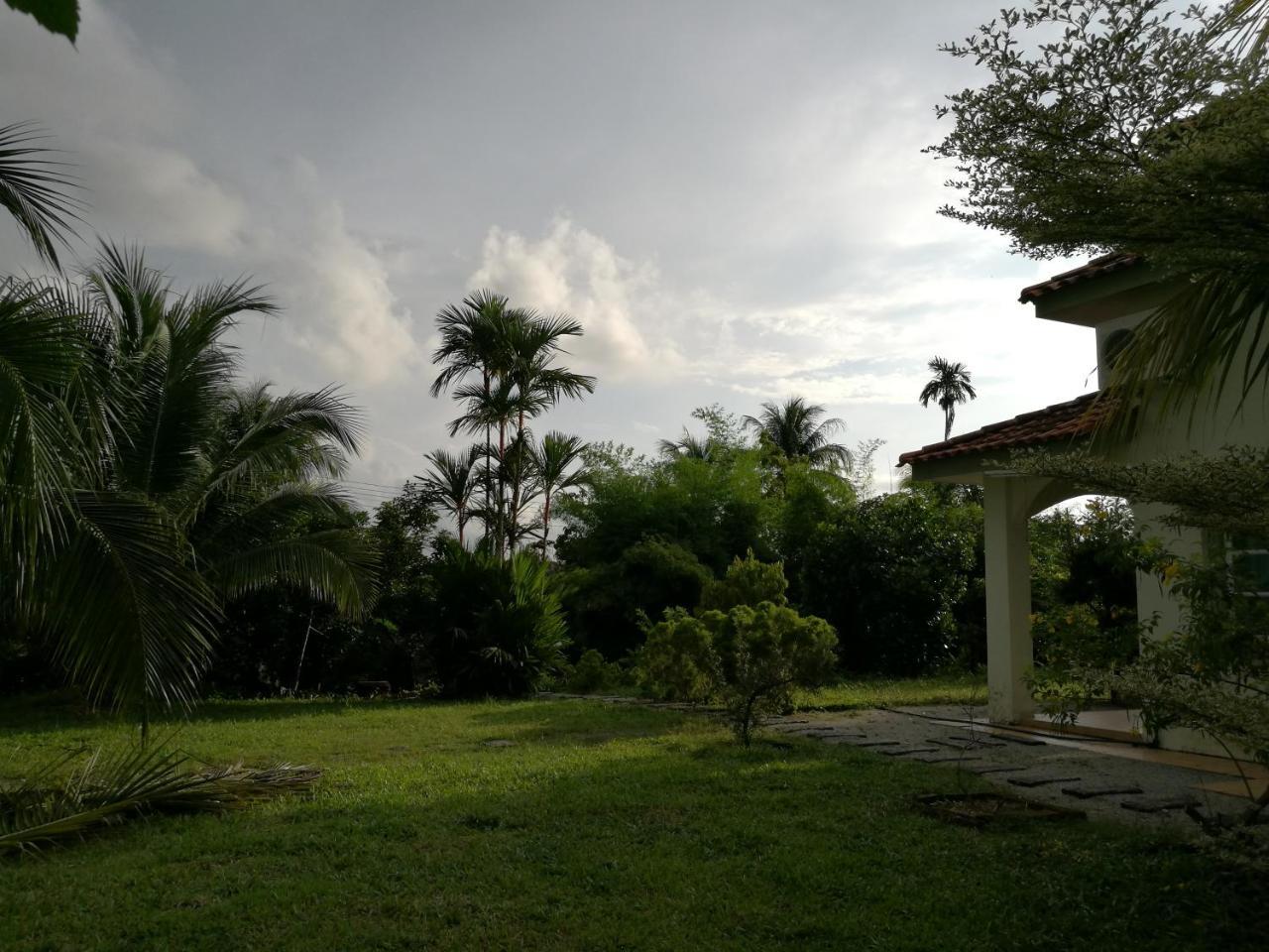 Guesthouse Dragon Place ไทปิง ภายนอก รูปภาพ