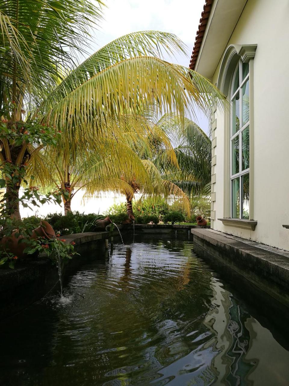 Guesthouse Dragon Place ไทปิง ภายนอก รูปภาพ
